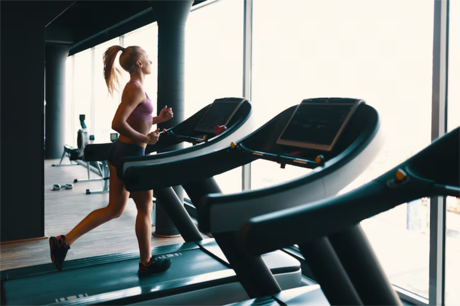Gym & Fitness